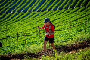 BIB: 
                            <button type="button" onclick="openModal(19160448)" class="btn btn-primary btn-sm float-right btn-popup" data-toggle="modal" data-target=".modal-high-quality">
                        <i class="fas fa-shopping-cart"></i> Add to Cart
                    </button>
                                            <button type="button" onclick="isThisMe(19160448, true)" class="btn btn-success btn-sm float-right btn-popup btn-isme hidden" data-toggle="tooltip" data-placement="bottom" title="นี่คือรูปของคุณใช่ไหม คลิกที่นี่เพื่อเอาเข้าอัลบั้ม">
                        <i class="fas fa-plus"></i> Add to album
                    </button>
                    <button type="button" onclick="isThisMe(19160448, false)" class="btn btn-warning btn-sm float-right btn-popup btn-isnotme hidden">
                        <i class="fas fa-ban"></i> Remove from album
                    </button>